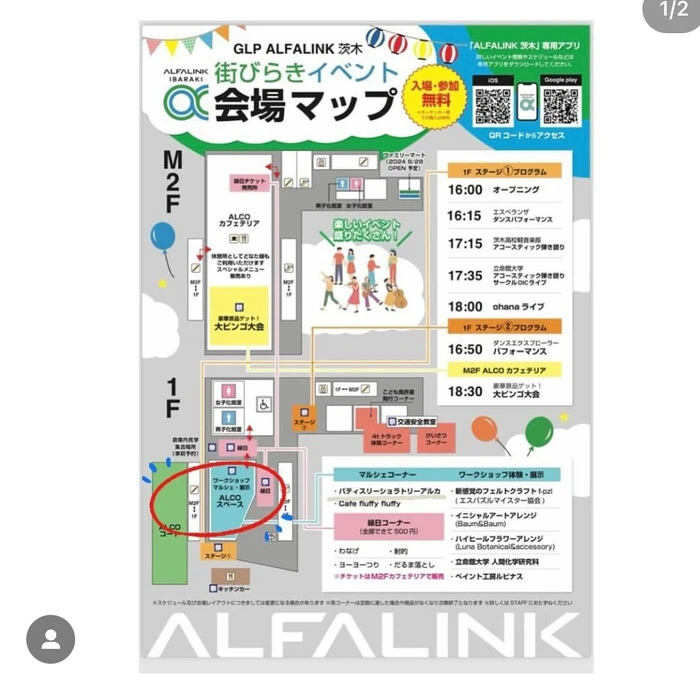 画像243